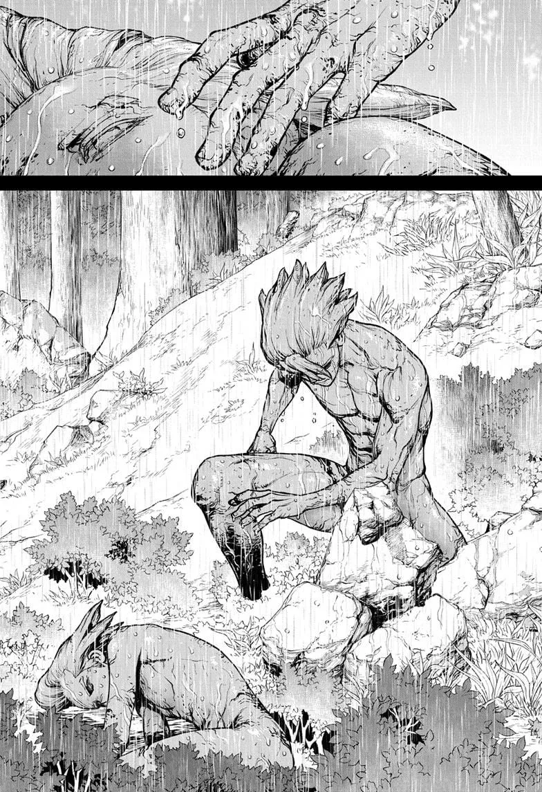 Dr. Stone - Page 12