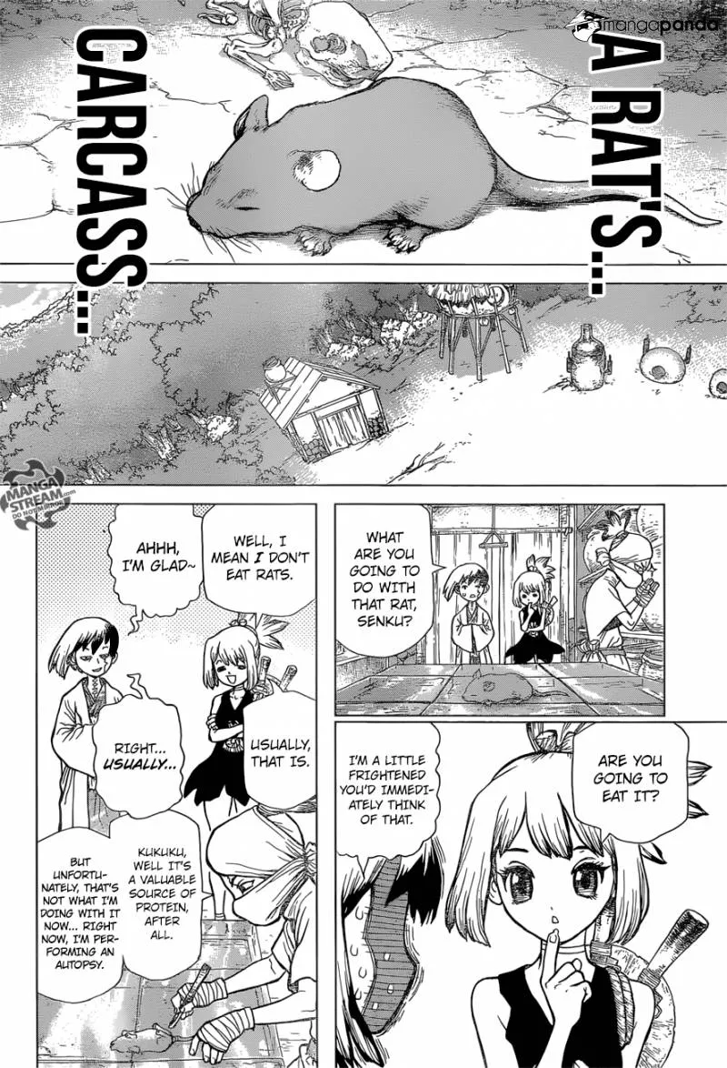 Dr. Stone - Page 3