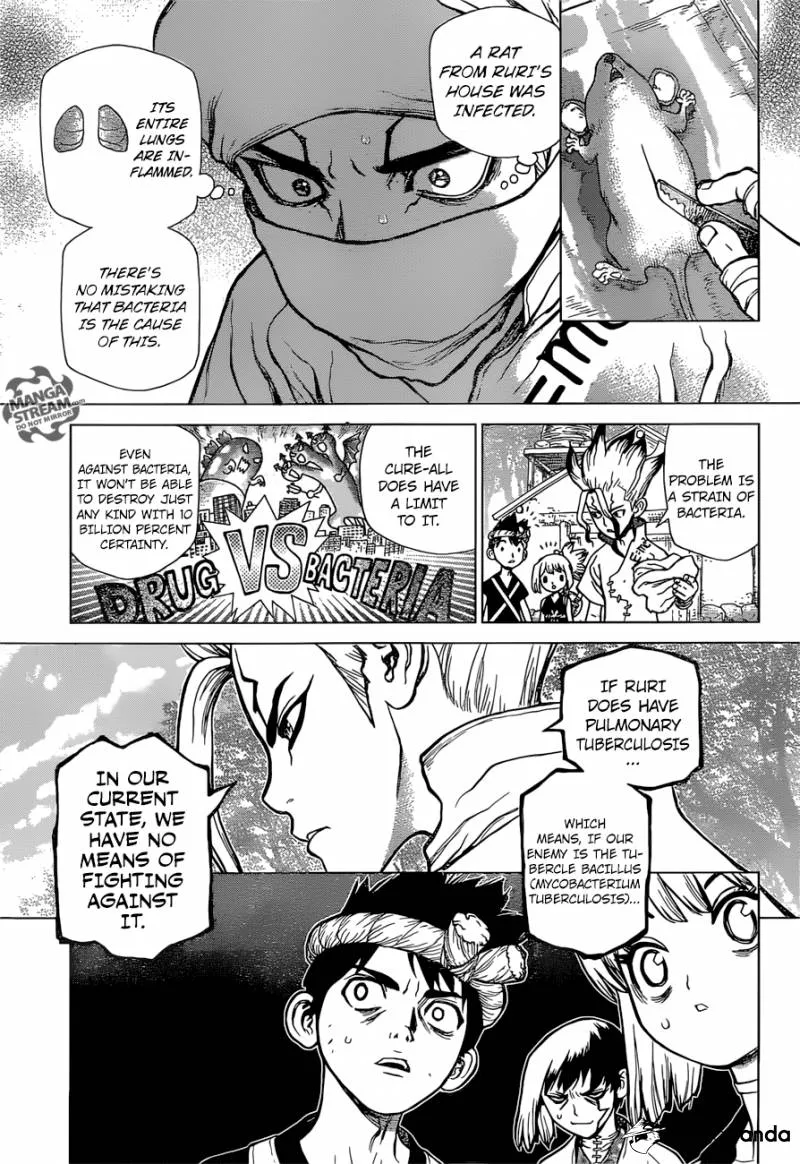 Dr. Stone - Page 4