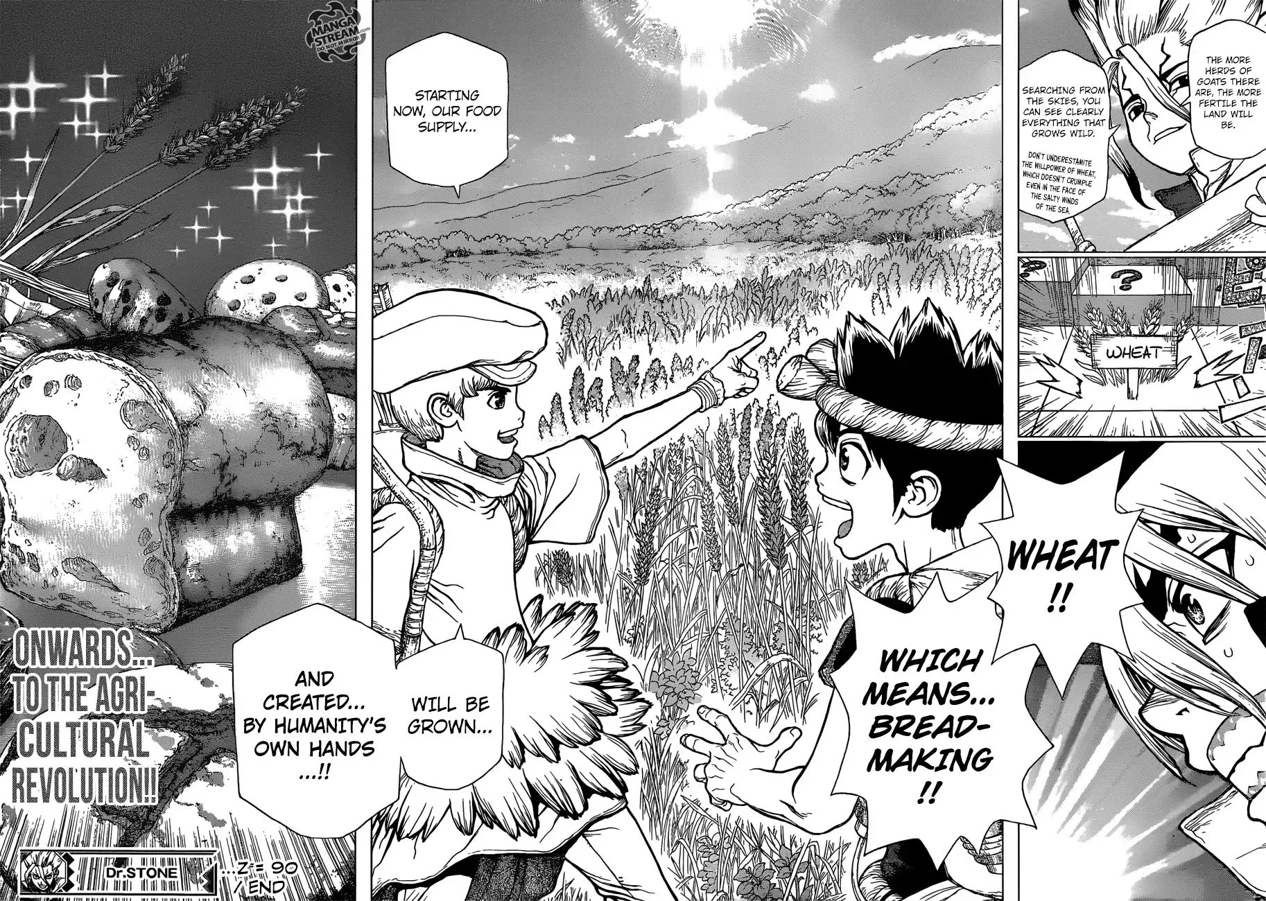 Dr. Stone - Page 17