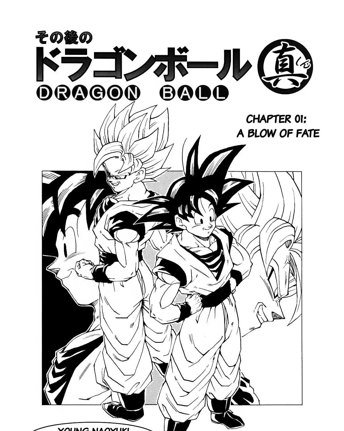 Dragon Ball After (Doujinshi) Chapter 1 page 13 - MangaKakalot