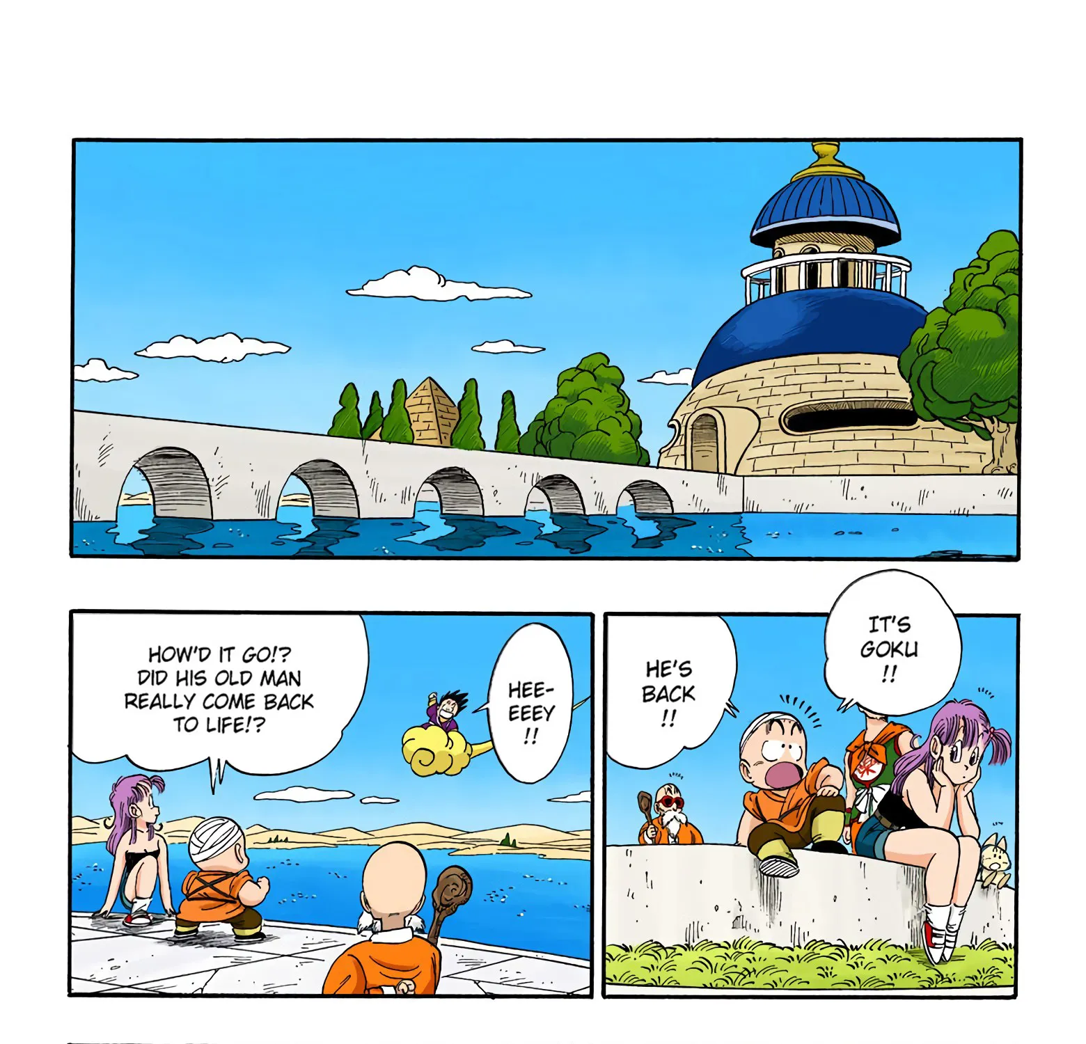 Dragon Ball - Full Color Edition - Page 16