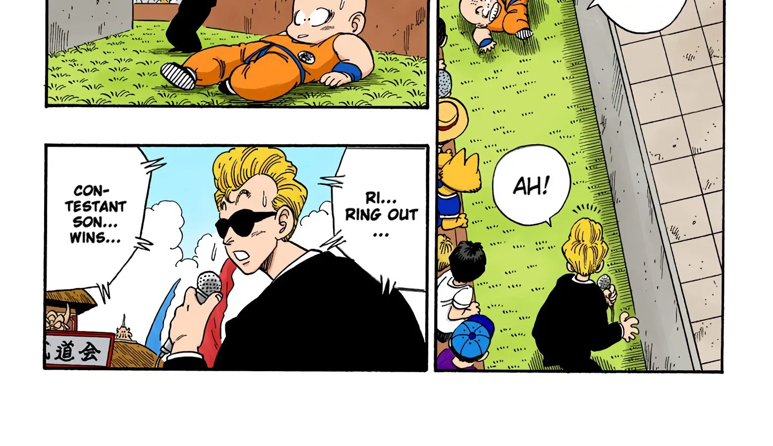 Dragon Ball - Full Color Edition - Page 23