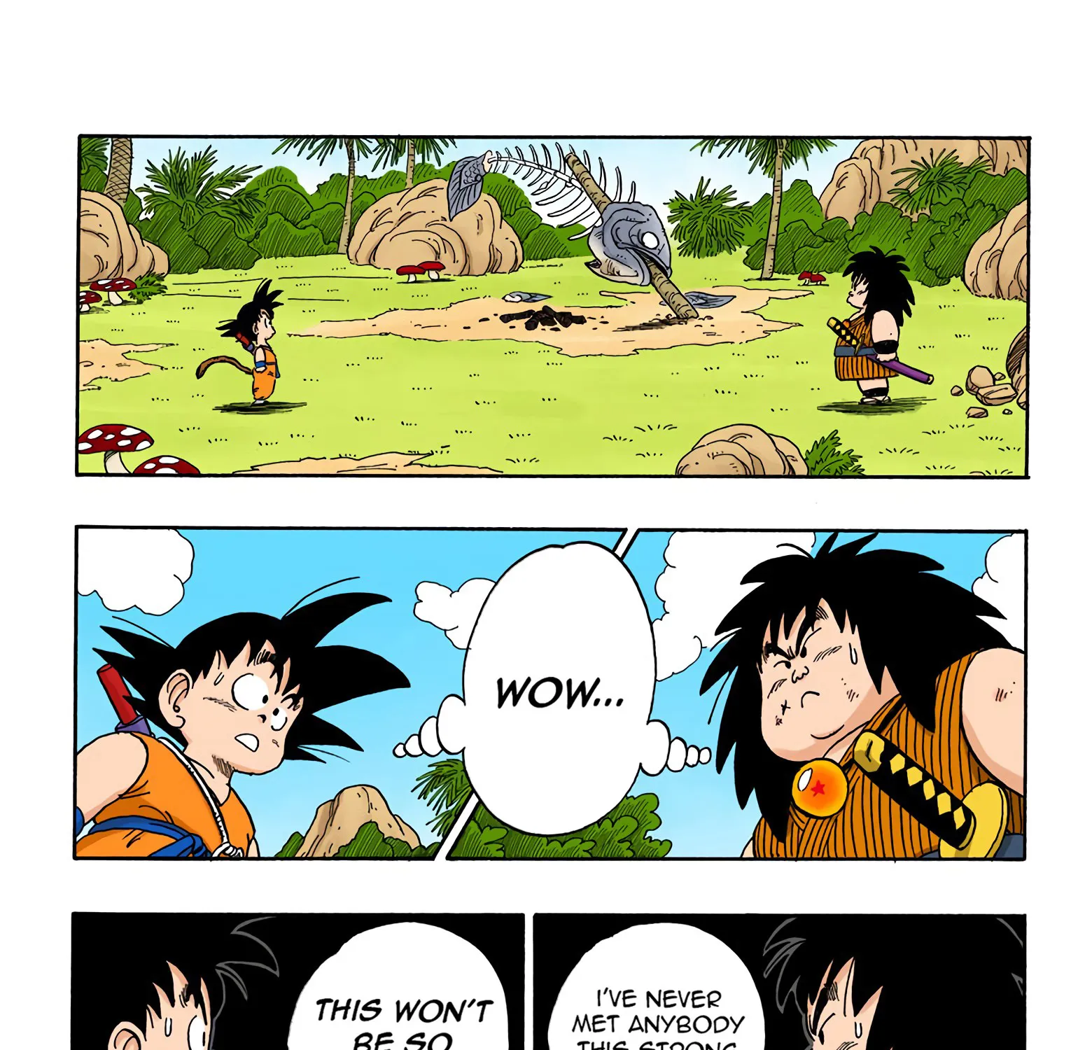 Dragon Ball - Full Color Edition - Page 24