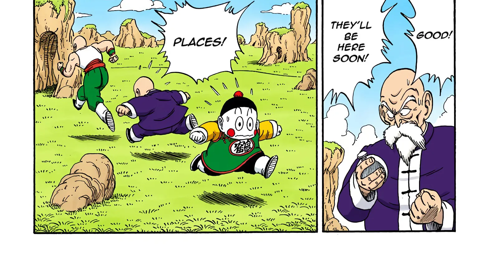 Dragon Ball - Full Color Edition - Page 13