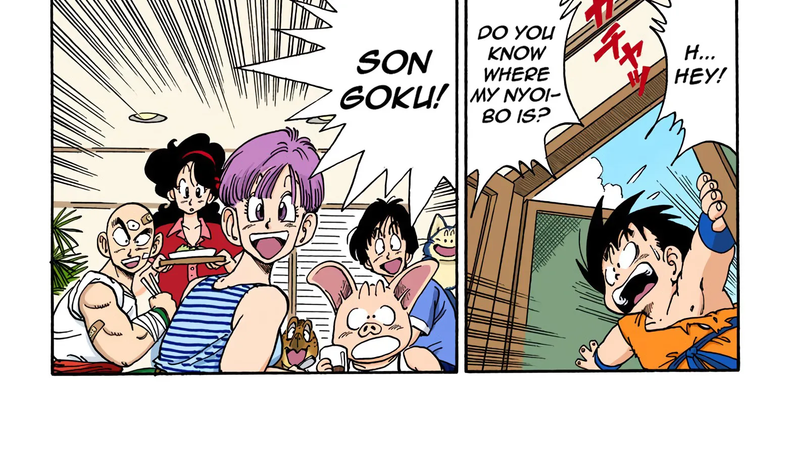 Dragon Ball - Full Color Edition - Page 23