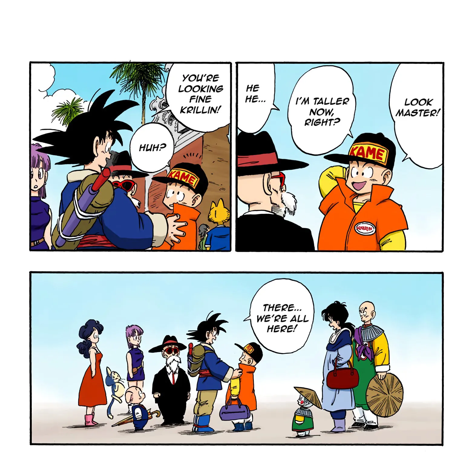 Dragon Ball - Full Color Edition - Page 16