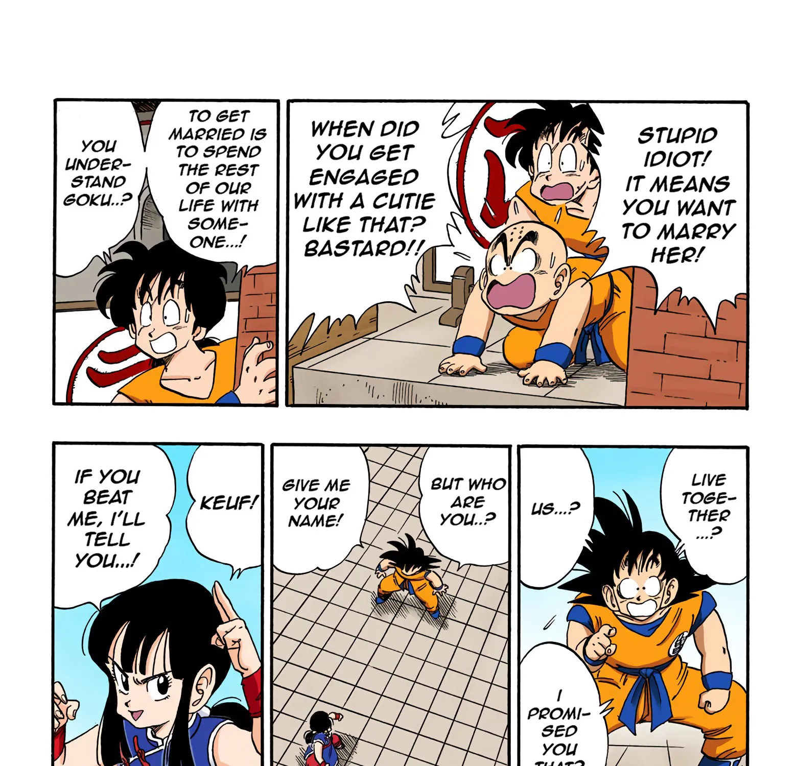 Dragon Ball - Full Color Edition - Page 14