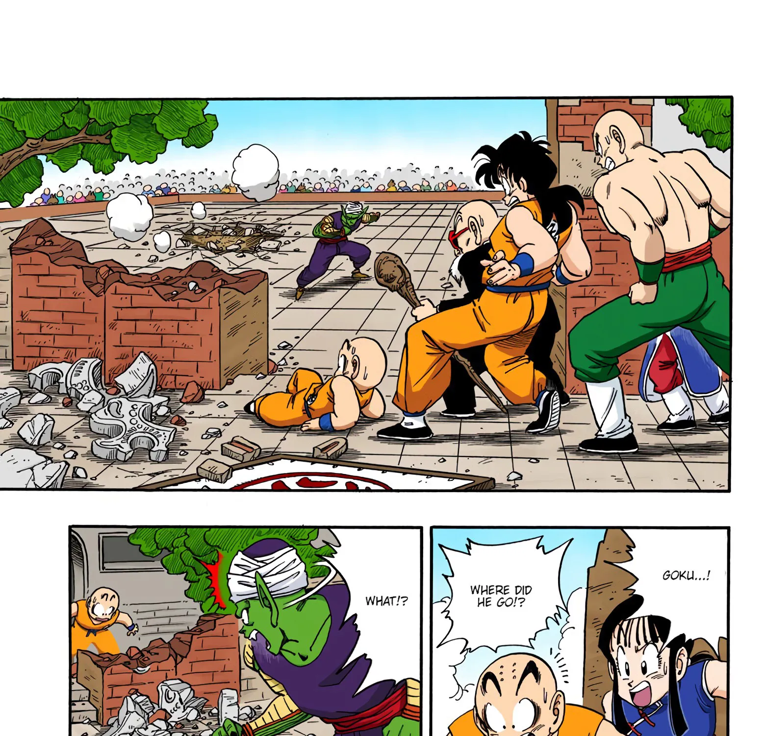 Dragon Ball - Full Color Edition - Page 12