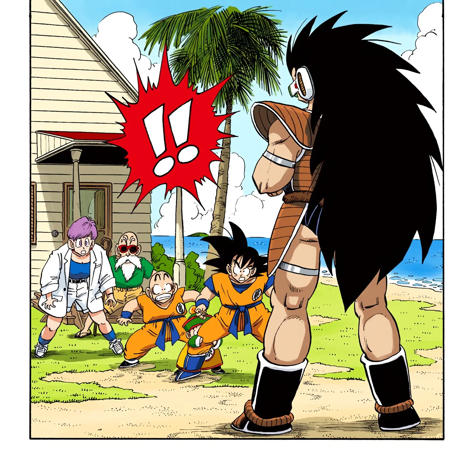 Dragon Ball - Full Color Edition - Page 22