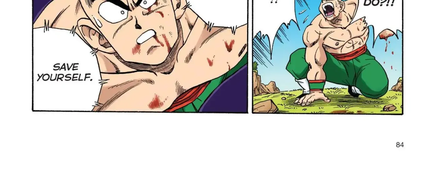 Dragon Ball Full Color Saiyan Arc - Page 21