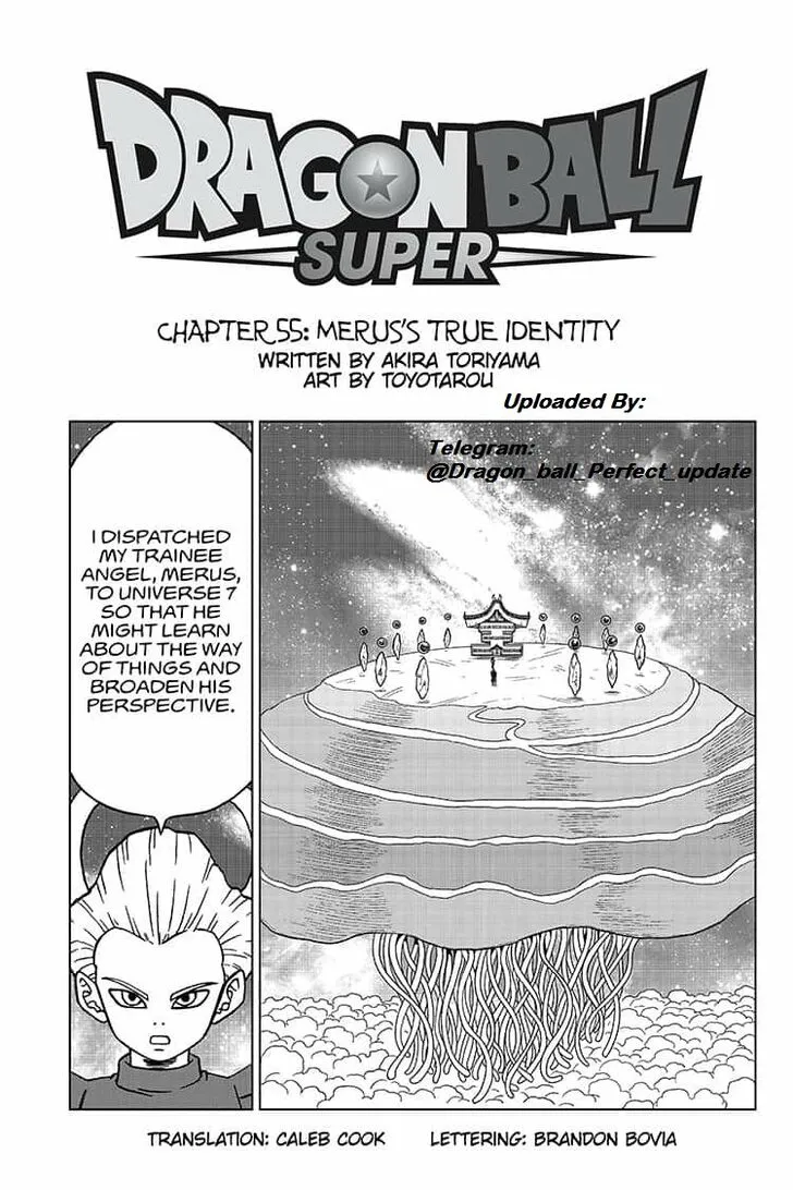 Dragon Ball Super Chapter 55 page 1 - MangaNato