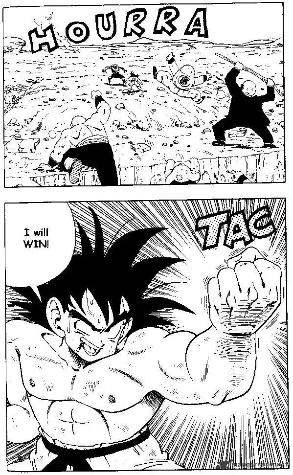 Dragon Ball - Page 13