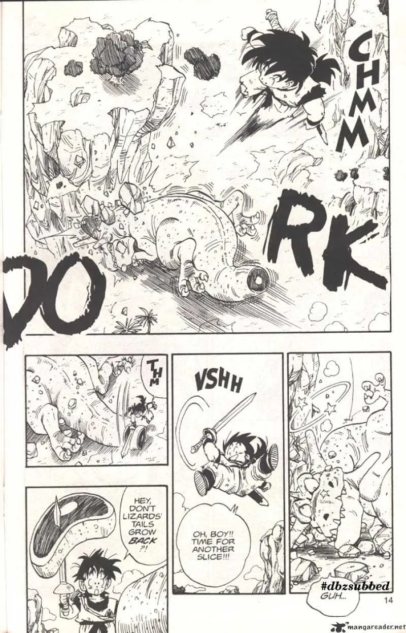 Dragon Ball - Page 13