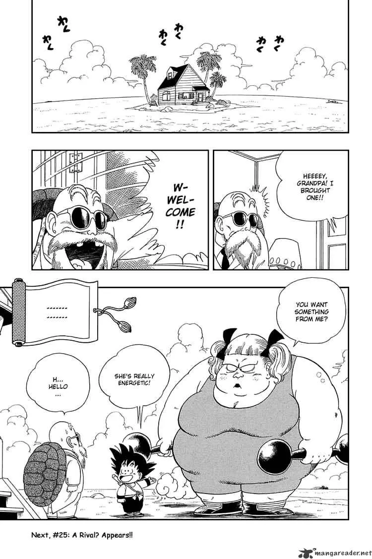 Dragon Ball - Page 13