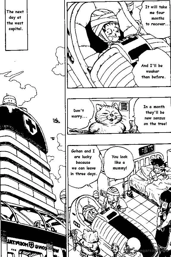 Dragon Ball - Page 8