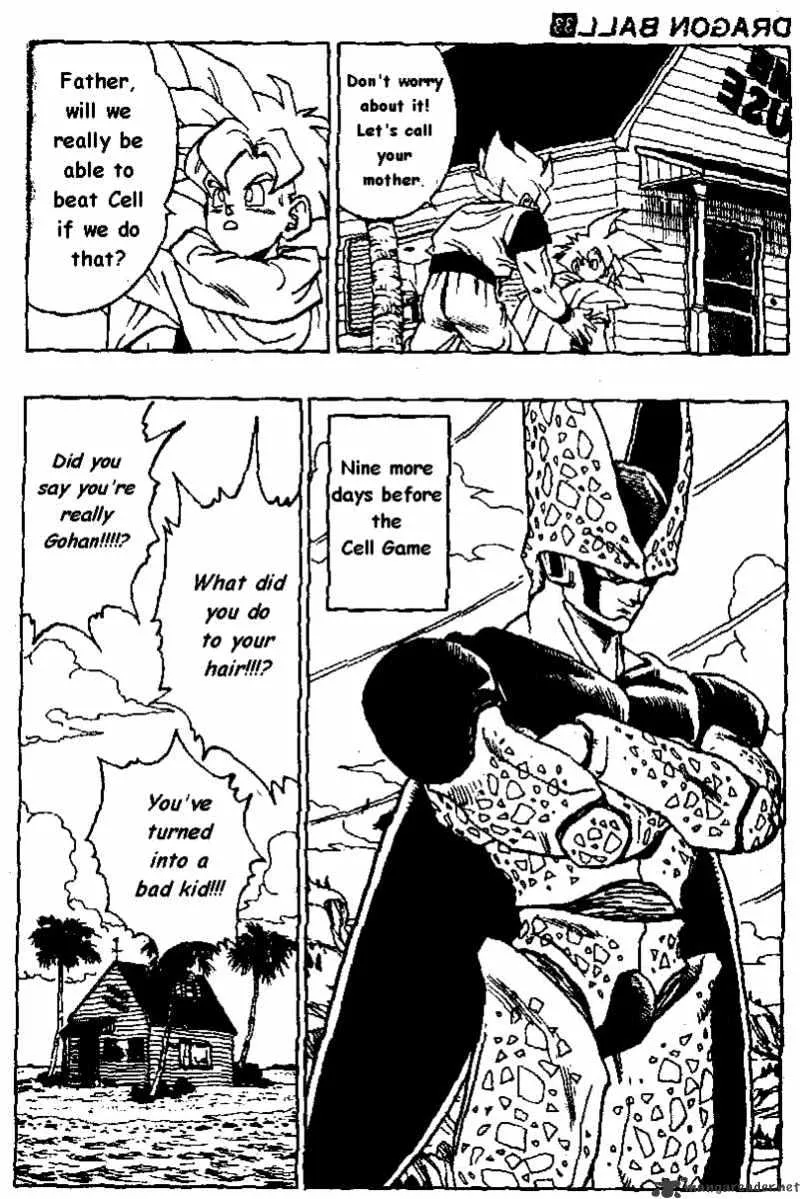 Dragon Ball - Page 13