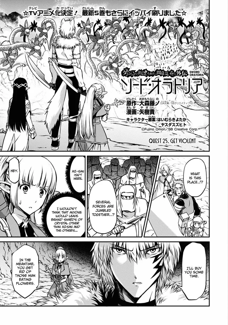 Dungeon Ni Deai O Motomeru No Wa Machigatte Iru Darou Ka Gaiden - Sword Oratoria - Page 2