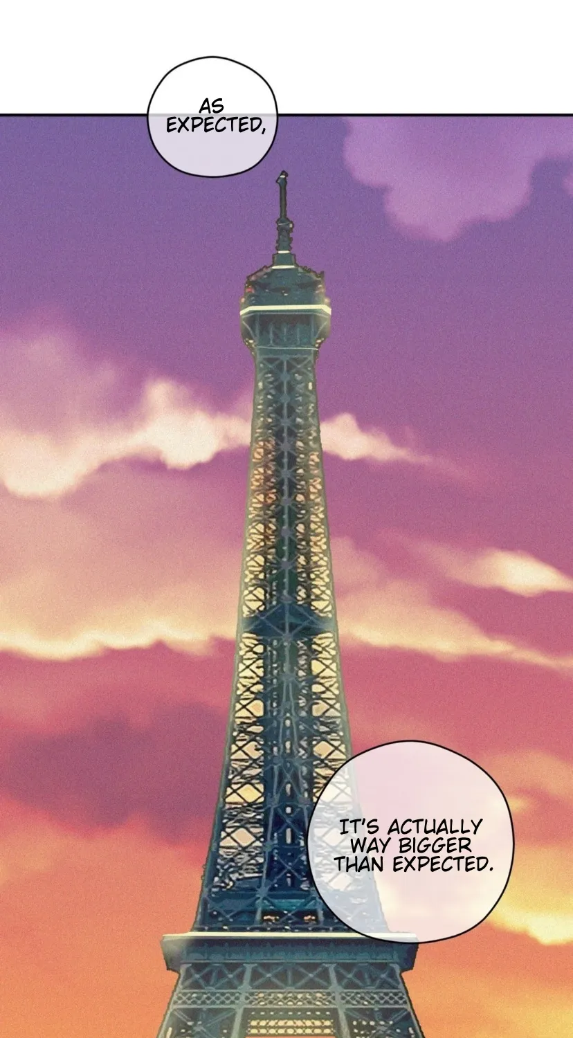 Eiffel Tower At Sunset - Page 66