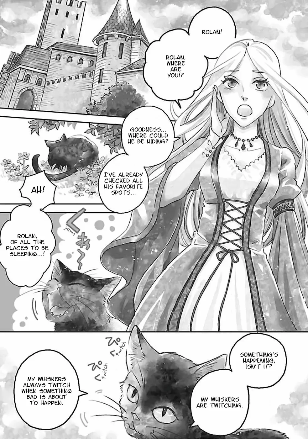 Eila To Totsukuni No Ou Chapter 1 page 5 - MangaNato