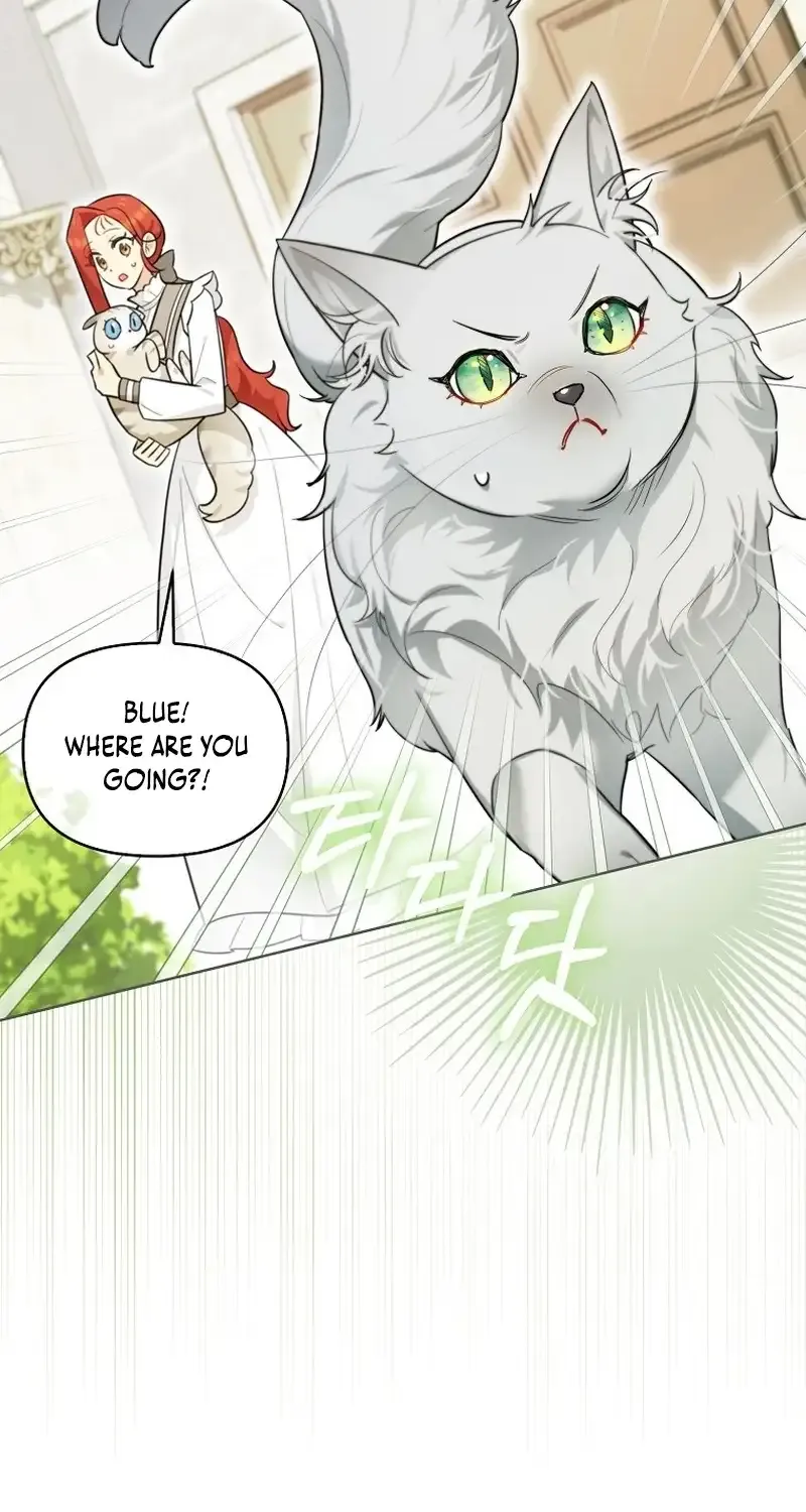 Even Though I Transmigrated As A Villainess, I’d Rather Raise A Cat Chapter 14 page 6 - MangaNato