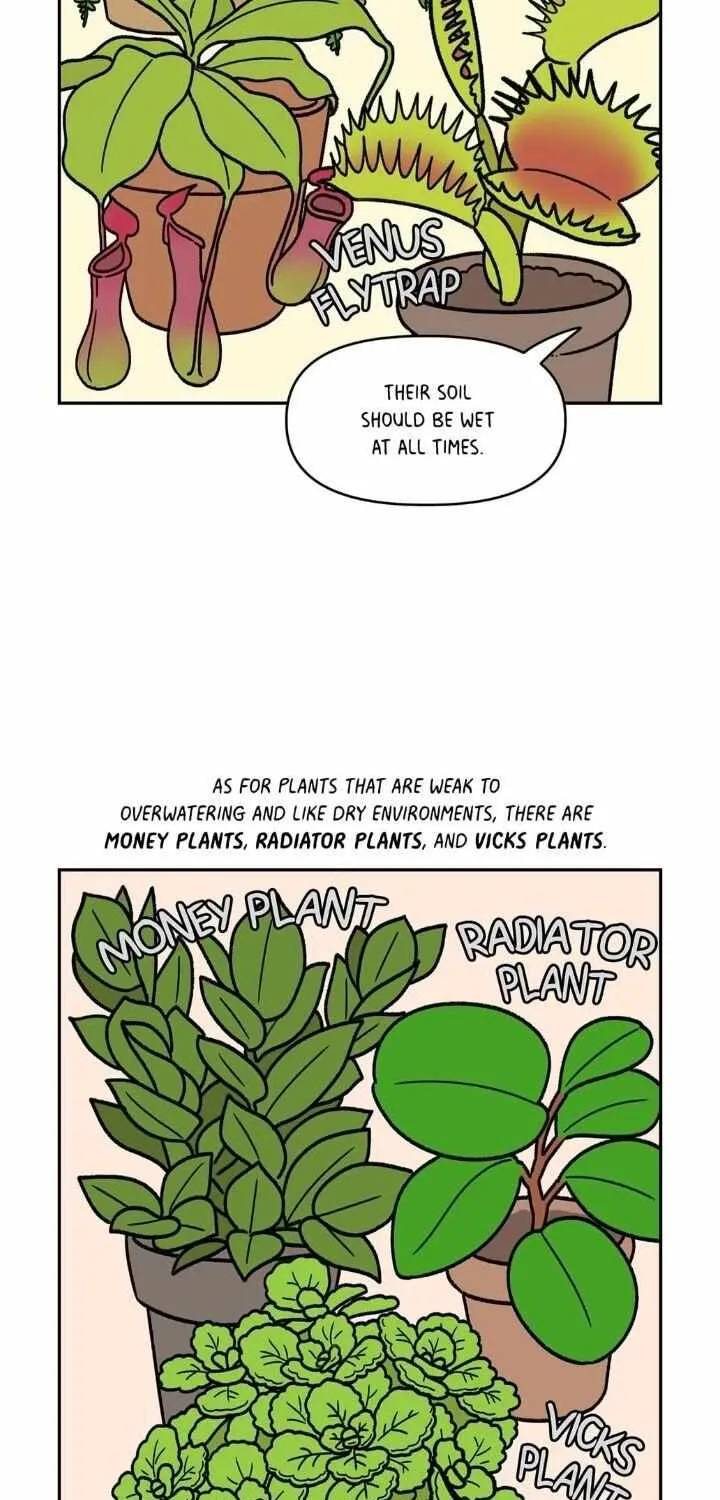 Extreme Gardener - Page 13