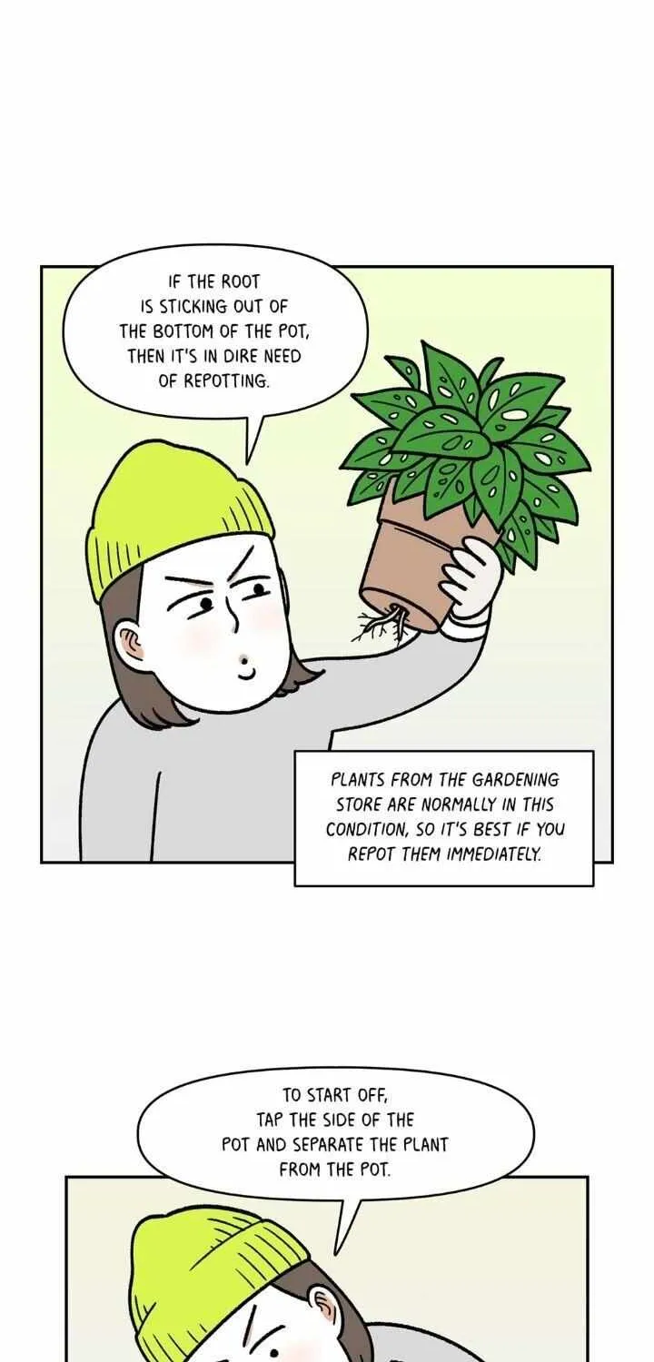 Extreme Gardener - Page 3