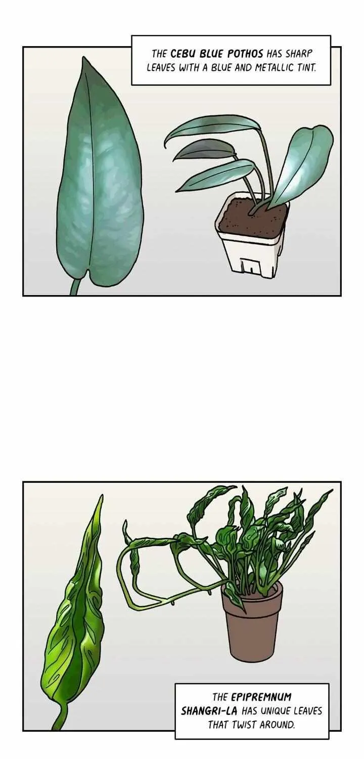 Extreme Gardener - Page 39