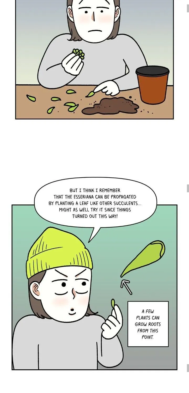 Extreme Gardener - Page 33