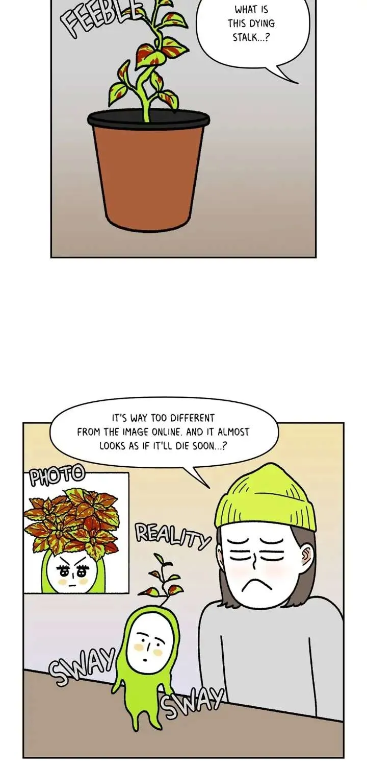 Extreme Gardener - Page 9