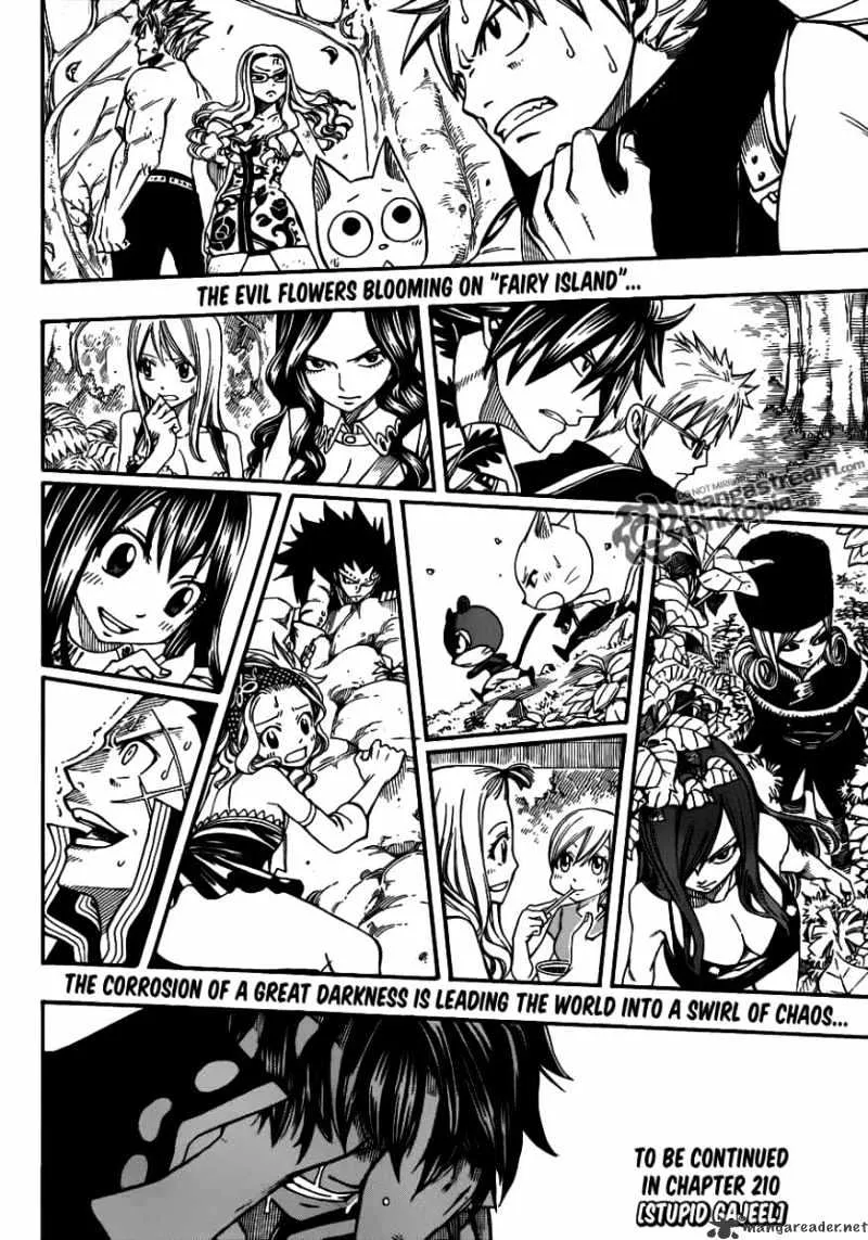 Fairy Tail Chapter 209 page 17 - MangaKakalot