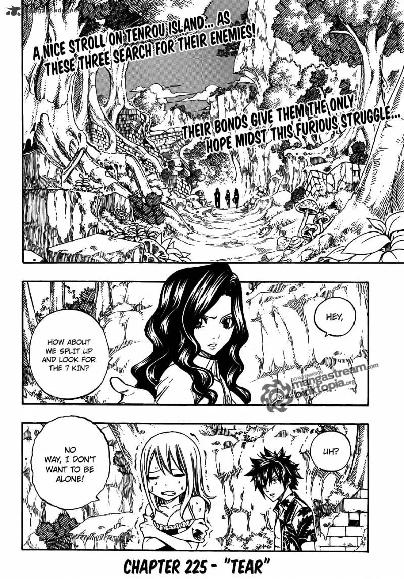 Fairy Tail Chapter 225 page 2 - MangaKakalot