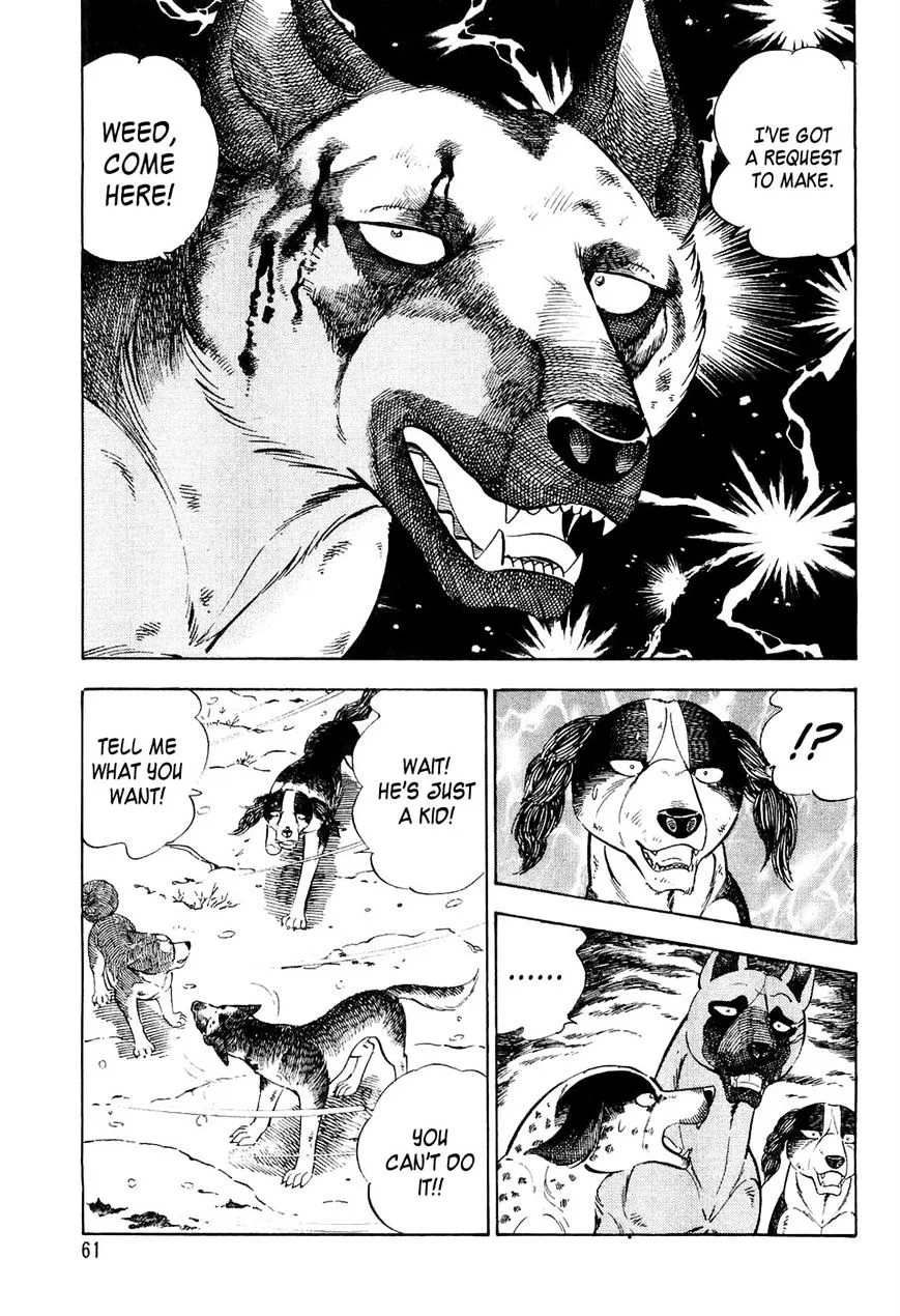 Ginga Densetsu Weed Chapter 33 page 15 - MangaNato