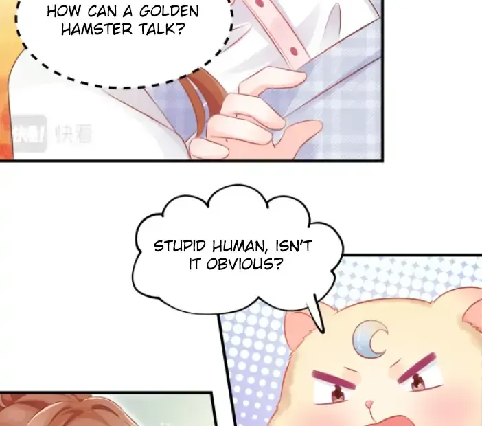 Golden Hamster’S Love Collection - Page 25