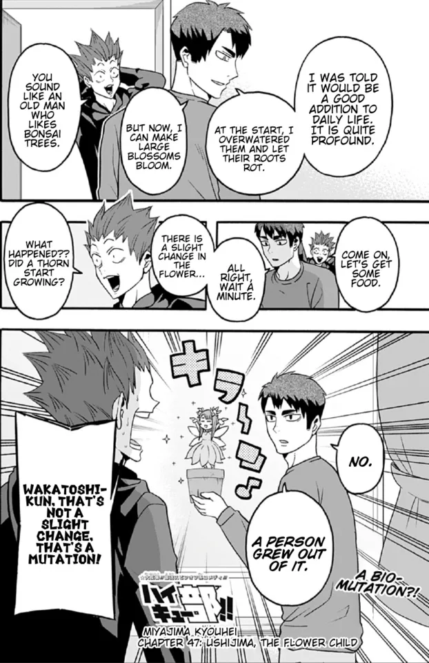 Haikyuu-Bu!! - Page 1