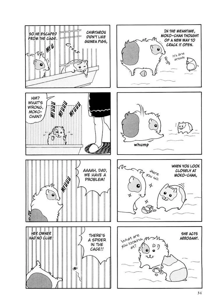 Hamster no Kenkyuu Report Chapter 15 page 4 - MangaKakalot