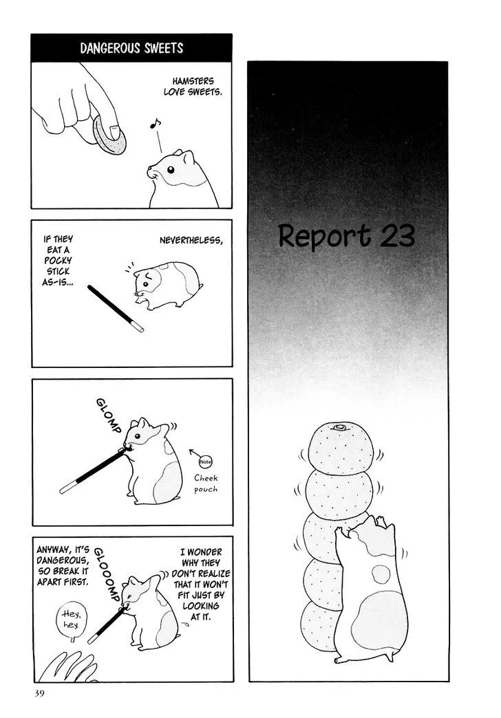 Hamster no Kenkyuu Report Chapter 16 page 1 - MangaKakalot