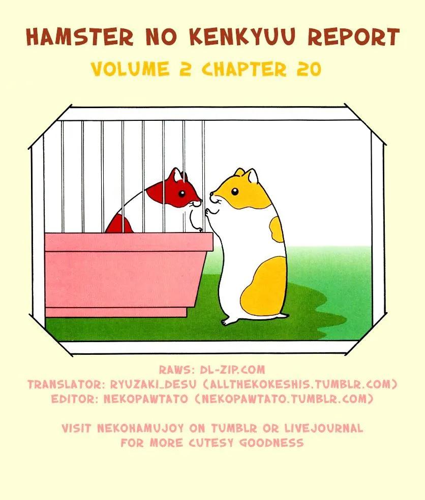 Hamster no Kenkyuu Report Chapter 20 page 9 - MangaKakalot