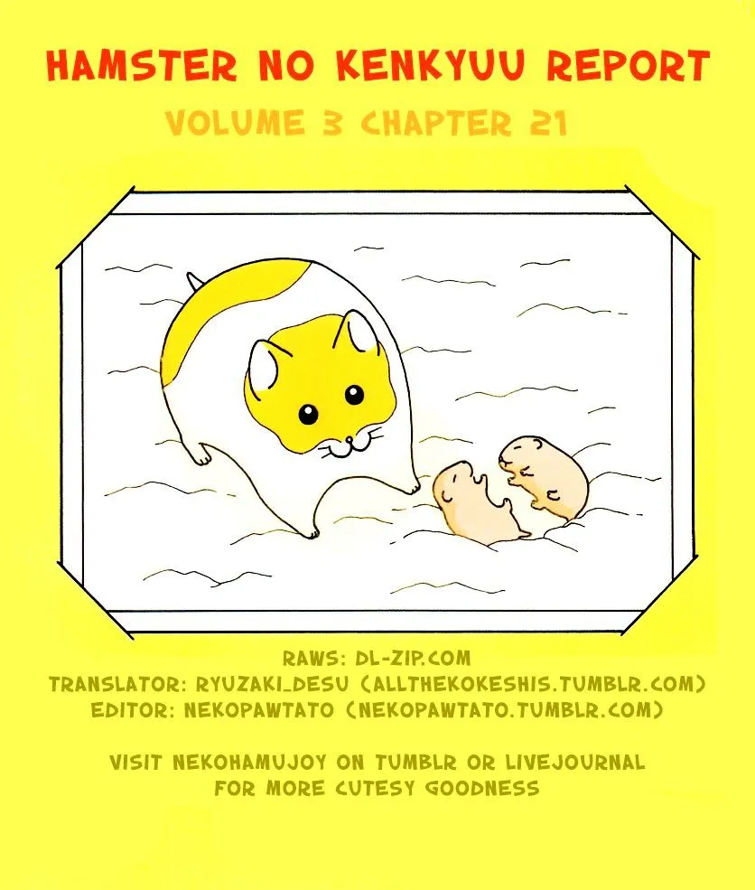 Hamster no Kenkyuu Report Chapter 21 page 17 - MangaKakalot