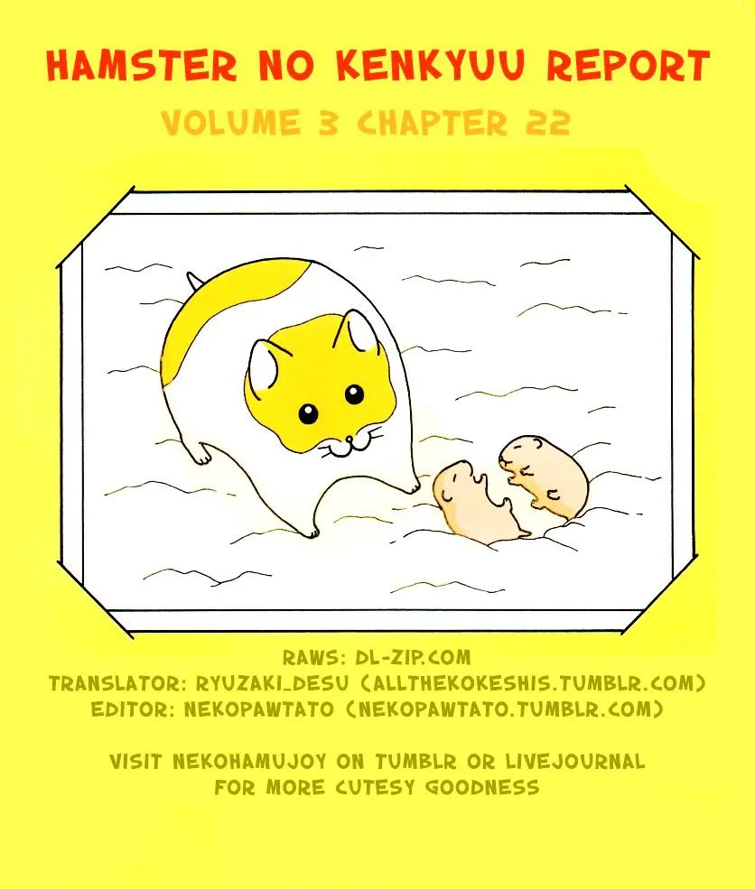 Hamster no Kenkyuu Report Chapter 22 page 9 - MangaKakalot