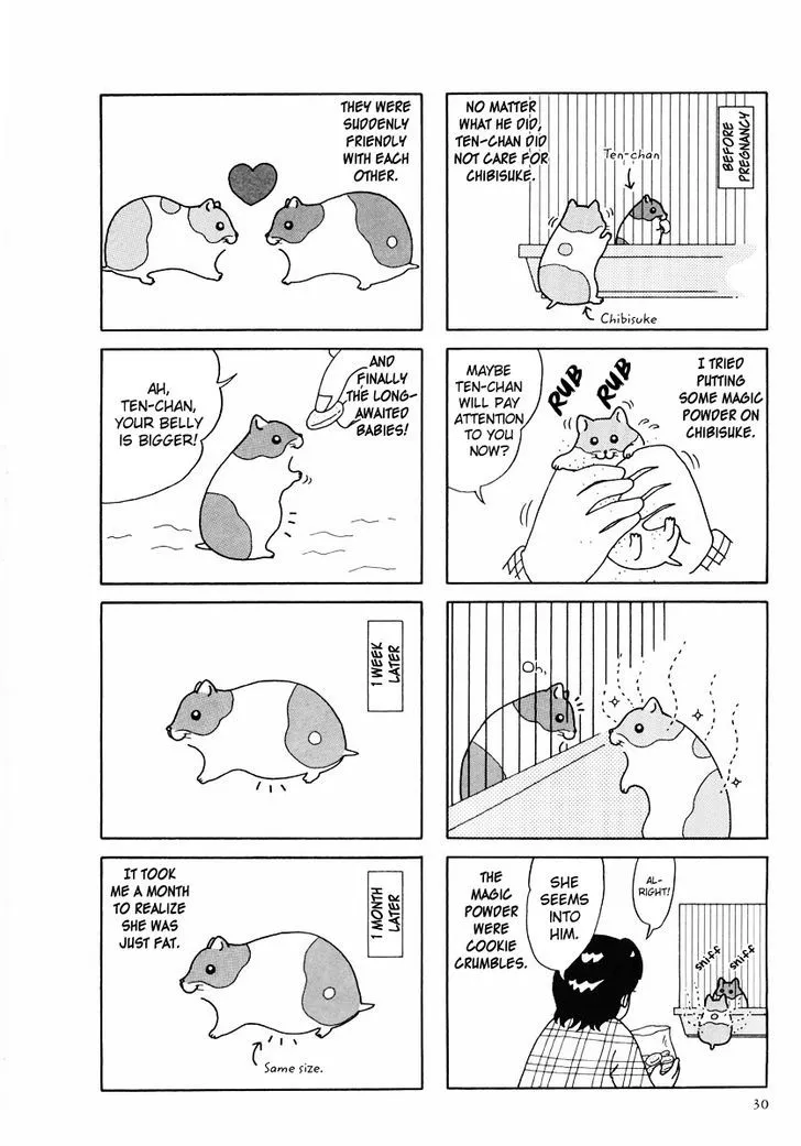 Hamster no Kenkyuu Report Chapter 24 page 2 - MangaKakalot