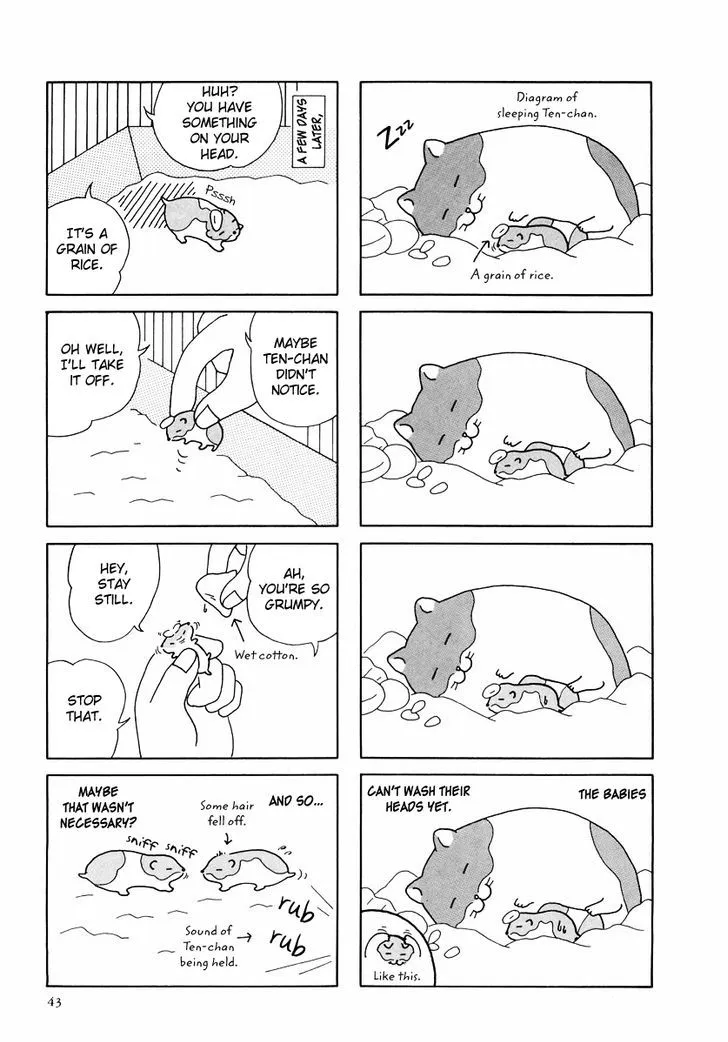 Hamster no Kenkyuu Report Chapter 24 page 15 - MangaKakalot