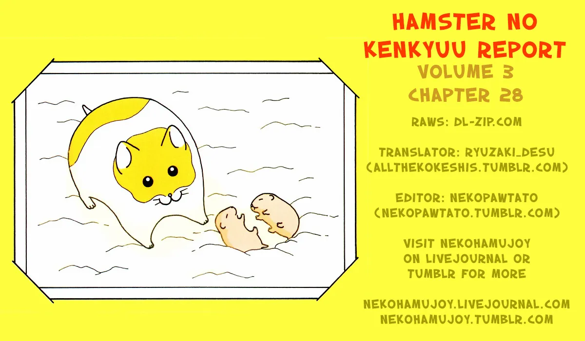 Hamster no Kenkyuu Report Chapter 28 page 7 - MangaKakalot