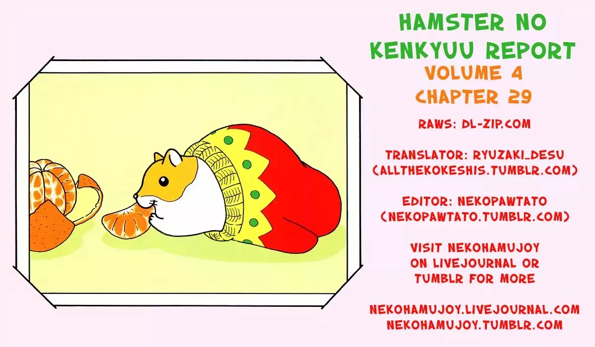 Hamster no Kenkyuu Report Chapter 29 page 25 - MangaKakalot