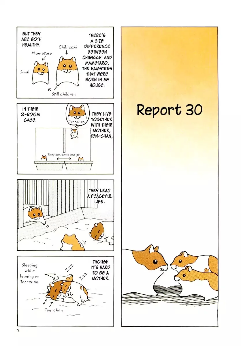 Hamster no Kenkyuu Report Chapter 29 page 9 - MangaKakalot