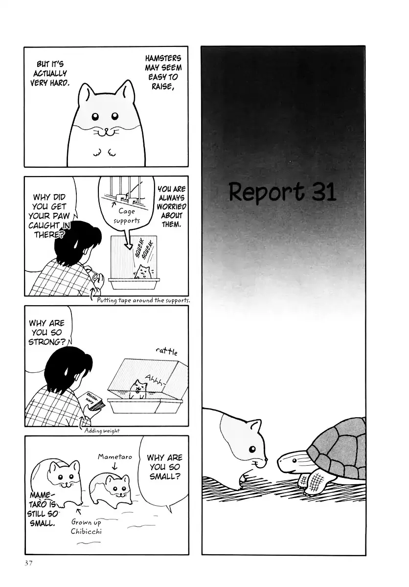 Hamster no Kenkyuu Report Chapter 31 page 1 - MangaKakalot