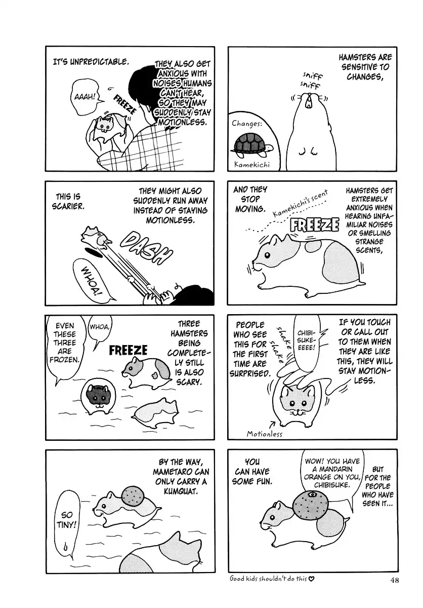 Hamster no Kenkyuu Report Chapter 31 page 12 - MangaKakalot