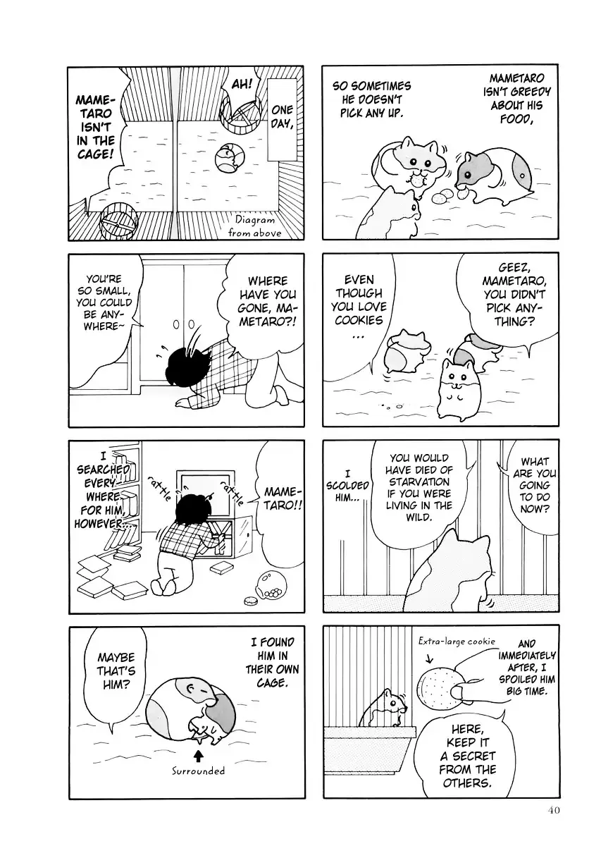 Hamster no Kenkyuu Report Chapter 31 page 4 - MangaKakalot