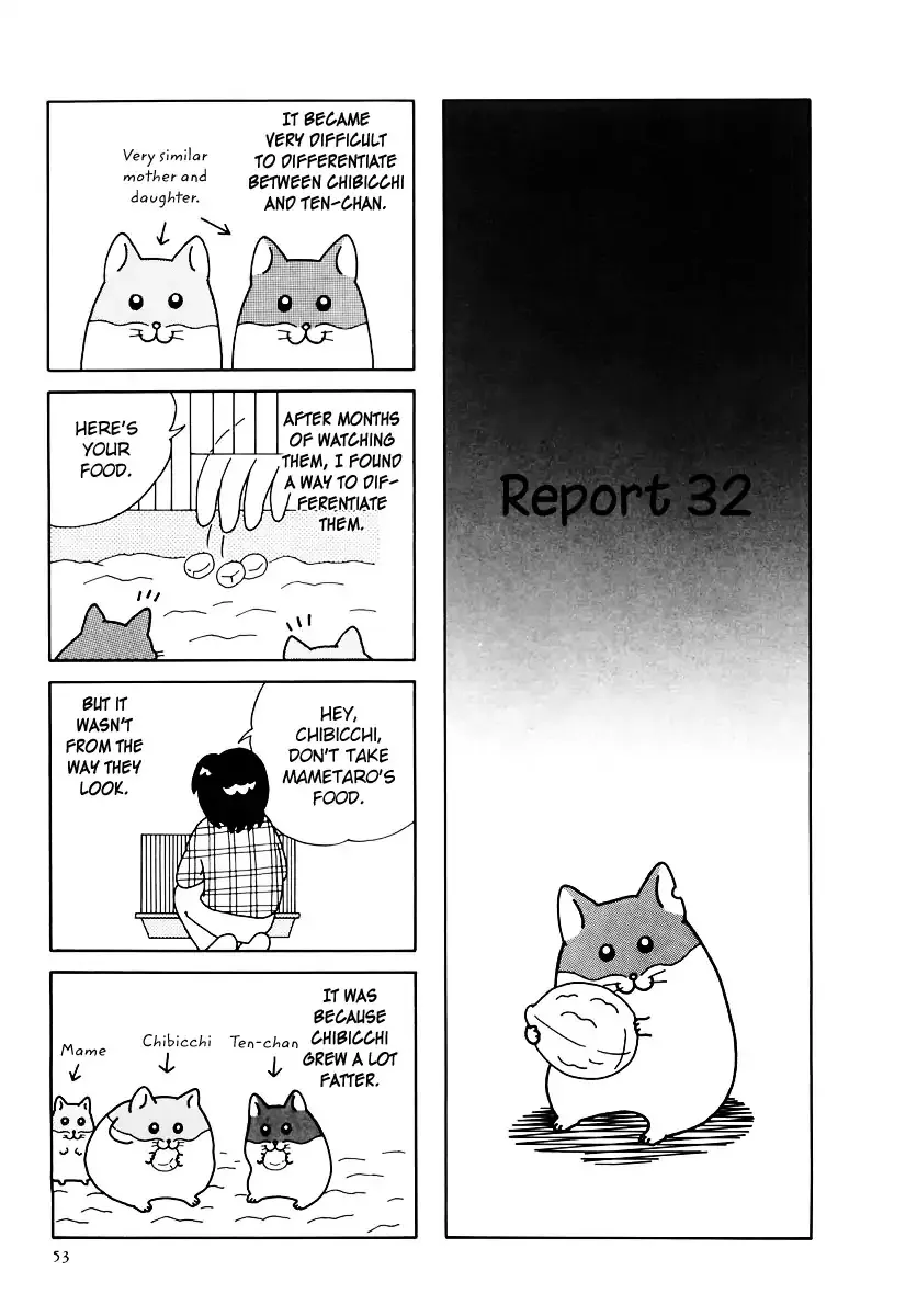 Hamster no Kenkyuu Report Chapter 32 page 2 - MangaKakalot