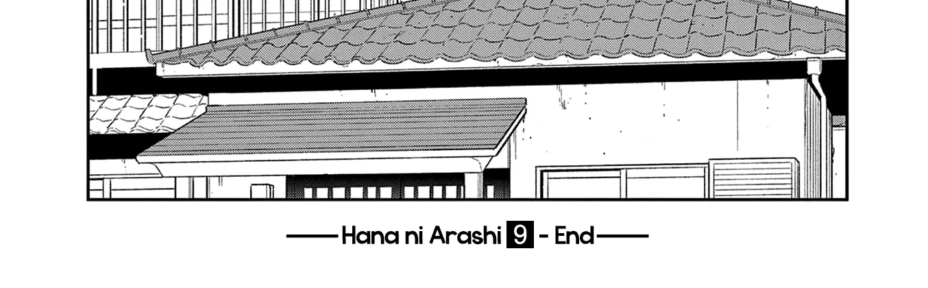 Hana Ni Arashi Chapter 109 page 36 - MangaNato